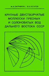 book Крупные двустворчатые моллюски пресных и солоноватых вод Дальнего Востока СССР: определитель