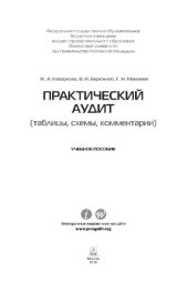 book Практический аудит (таблицы, схемы, комментарии). Учебное пособие,
