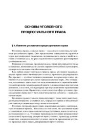 book Основы уголовного процессуального права,