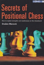 book Secrets of Positional Chess