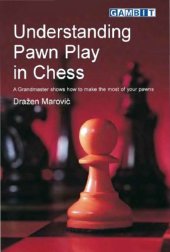 book Understanding pawn play in chess