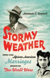 book Stormy Weather: Middle-Class African American Marriages between the Two World Wars