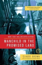 book Manchild in the Promised Land