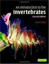 book An Introduction to the Invertebrates