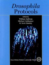 book Drosophila Protocols