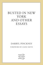 book Busted in New York and Other Essays