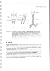 book Anatomie Si Fiziologie Umana Pentru Admitere La Facultatile de Medicina Partea 3 Anatomia Omului