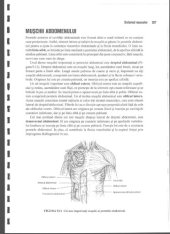 book Anatomie Si Fiziologie Umana Pentru Admitere La Facultatile de Medicina Partea 2 Anatomia Omului