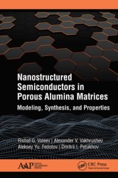 book Nanostructured Semiconductors in Porous Alumina Matrices: Modeling, Synthesis, and Properties