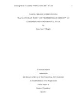 book Flexible Brains, Resilient Souls: Traumatic Brain Injury and the Feldenkrais Method: An existential phenomenological study