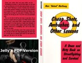 book Cheap Shots Ambushes and other lessons