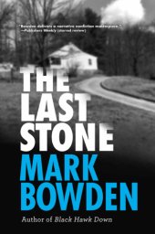 book The Last Stone