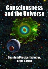 book Consciousness and the Universe: Quantum Physics, Evolution, Brain & Mind