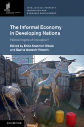 book The informal economy in developing nations: hidden engine of innovation?