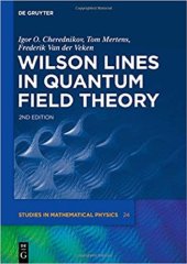 book Wilson Lines in Quantum Field Theory