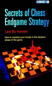 book Secrets of chess endgame strategy