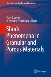 book Shock Phenomena in Granular and Porous Materials