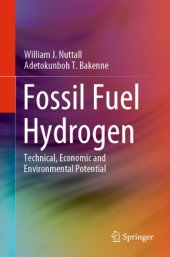 book Fossil Fuel Hydrogen: Technical, Economic and Environmental Potential