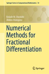 book Numerical Methods for Fractional Differentiation