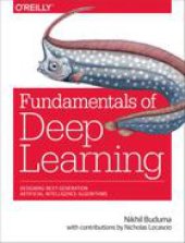 book Fundamentals of Deep Learning