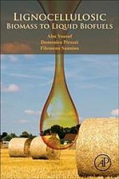 book Lignocellulosic biomass to liquid biofuels