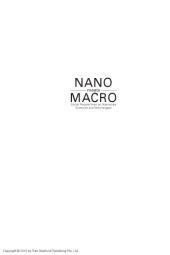 book Nano Meets Macro : Social Perspectives on Nanoscience and Nanotechnology