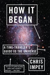 book How It Began: A Time-Traveler's Guide to the Universe