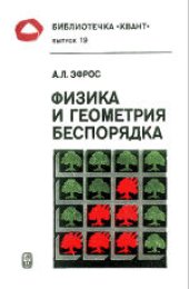 book Физика и геометрия беспорядка