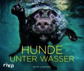 book Hunde unter Wasser