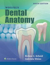 book Woelfels Dental Anatomy