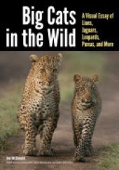 book Big Cats in The Wild: A Visual Essay of Lions, Jaguars, Leopards, Pumas, and More