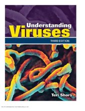 book Understanding Viruses