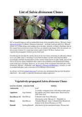 book List of Salvia Divinorum Clones