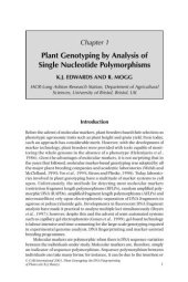 book Plant Genotyping The DNA Fingerprinting of Plants