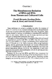 book Basic DNA and RNA Protocols