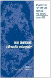 book Brain Development in Drosophila melanogaster 