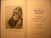 book The Magician Within: Accessing the Shaman in the Male Psyche