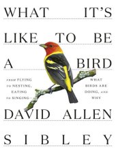 book What It's Like to Be a Bird: From Flying to Nesting, Eating to Singing--What Birds Are Doing, and Why