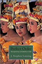 book Perfect Order: Recognizing Complexity in Bali (Princeton Studies in Complexity)