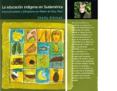 book La educación indígena en Sudamérica. Interculturalidad y bilingüismo en Madre de Dios, Perú (Intercultural Education and Literacy)