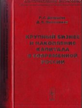 book Крупный бизнес и накопление капитала в современной России