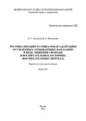 book Ресоциализация и социальная адаптация осужденных, отбывающих наказание в виде лишения свободы в воспитательных колониях (воспитательных центрах)