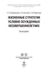 book Жизненные стратегии условно осужденных несовершеннолетних. Монография