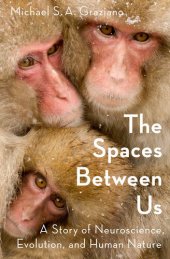 book The Spaces Between Us