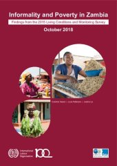 book Informality and Poverty in Zambia Findings from the 2015 Living Standards and Monitoring Survey: Findings from the 2015 Living Standards and Monitoring Survey