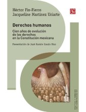 book Derechos humanos cien años de evolución de los derechos en la constitución mexicana