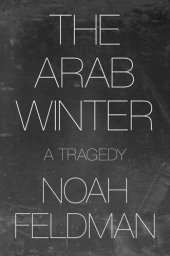 book The Arab Winter: A Tragedy