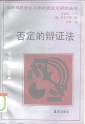 book 否定的辩证法 (Negative Dialektik)