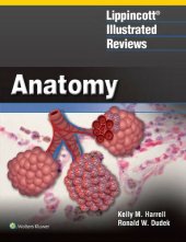 book Lippincott Illustrated Reviews: Anatomy