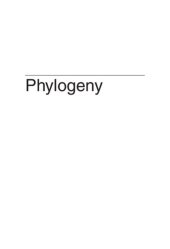 book Phylogeny: Discrete and Random Processes in Evolution